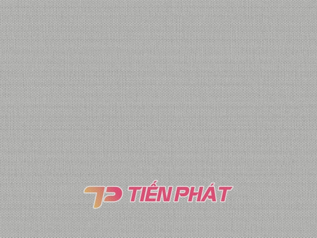 Giấy Dán Tường Văn Phòng VP5629