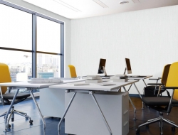 Giấy Dán Tường Văn Phòng VP5689 Giấy Dán Tường Văn Phòng VP5689