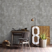 Giấy Dán Tường Xi Măng XM126