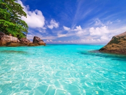  Tranh Dán Tường Cảnh Biển Đẹp Tiến Phát Cbtp122