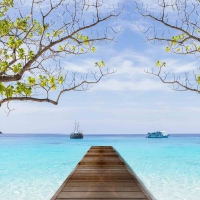  Tranh Dán Tường Cảnh Biển Đẹp Tiến Phát Cbtp100