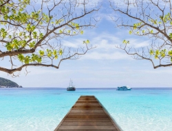  Tranh Dán Tường Cảnh Biển Đẹp Tiến Phát Cbtp100