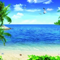 Tranh Dán Tường Cảnh Biển Đẹp Tiến Phát Cbtp104 Tranh Dán Tường Cảnh Biển Đẹp Tiến Phát Cbtp104