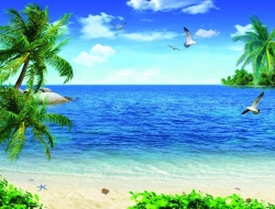  Tranh Dán Tường Cảnh Biển Đẹp Tiến Phát Cbtp104