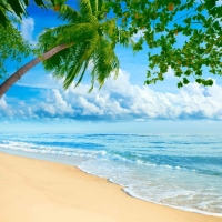 Tranh Dán Tường Cảnh Biển Đẹp Tiến Phát Cbtp107 Tranh Dán Tường Cảnh Biển Đẹp Tiến Phát Cbtp107