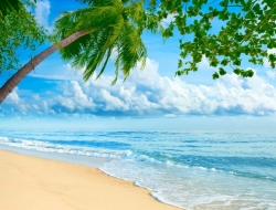  Tranh Dán Tường Cảnh Biển Đẹp Tiến Phát Cbtp107