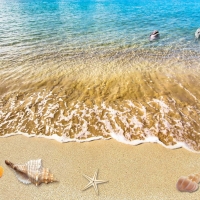  Tranh Dán Tường Cảnh Biển Đẹp Tiến Phát Cbtp116