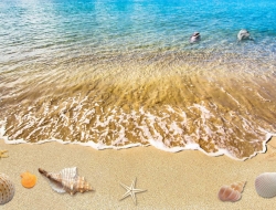  Tranh Dán Tường Cảnh Biển Đẹp Tiến Phát Cbtp116