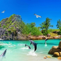 Tranh Dán Tường Cảnh Biển Đẹp Tiến Phát Cbtp67 Tranh Dán Tường Cảnh Biển Đẹp Tiến Phát Cbtp67