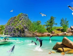  Tranh Dán Tường Cảnh Biển Đẹp Tiến Phát Cbtp67