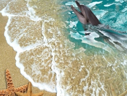  Tranh Dán Tường Cảnh Biển Đẹp Tiến Phát Cbtp68