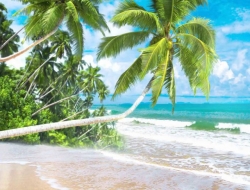  Tranh Dán Tường Cảnh Biển Đẹp Tiến Phát Cbtp71