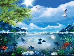  Tranh Dán Tường Cảnh Biển Đẹp Tiến Phát Cbtp76