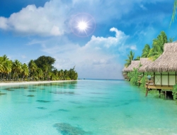  Tranh Dán Tường Cảnh Biển Đẹp Tiến Phát Cbtp77