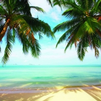 Tranh Dán Tường Cảnh Biển Đẹp Tiến Phát Cbtp78 Tranh Dán Tường Cảnh Biển Đẹp Tiến Phát Cbtp78