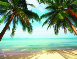  Tranh Dán Tường Cảnh Biển Đẹp Tiến Phát Cbtp78