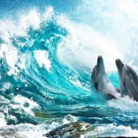  Tranh Dán Tường Cảnh Biển Đẹp Tiến Phát Cbtp80