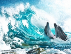  Tranh Dán Tường Cảnh Biển Đẹp Tiến Phát Cbtp80