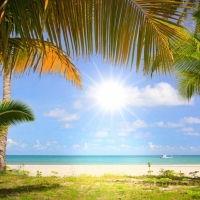 Tranh Dán Tường Cảnh Biển Đẹp Tiến Phát Cbtp85 Tranh Dán Tường Cảnh Biển Đẹp Tiến Phát Cbtp85