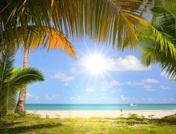  Tranh Dán Tường Cảnh Biển Đẹp Tiến Phát Cbtp85