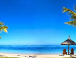  Tranh Dán Tường Cảnh Biển Đẹp Tiến Phát Cbtp88