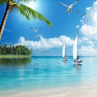 Tranh Dán Tường Cảnh Biển Đẹp Tiến Phát Cbtp90 Tranh Dán Tường Cảnh Biển Đẹp Tiến Phát Cbtp90