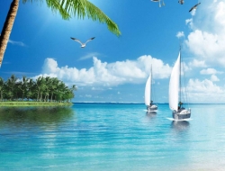  Tranh Dán Tường Cảnh Biển Đẹp Tiến Phát Cbtp90