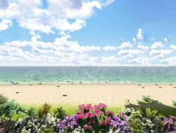  Tranh Dán Tường Cảnh Biển Đẹp Tiến Phát Cbtp94