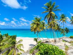  Tranh Dán Tường Cảnh Biển Đẹp Tiến Phát Cbtp138