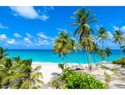  Tranh Dán Tường Cảnh Biển Đẹp Tiến Phát Cbtp138