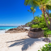 Tranh Dán Tường Cảnh Biển Đẹp Tiến Phát Cbtp137 Tranh Dán Tường Cảnh Biển Đẹp Tiến Phát Cbtp137