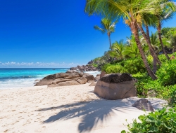  Tranh Dán Tường Cảnh Biển Đẹp Tiến Phát Cbtp137