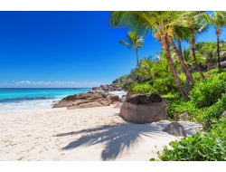  Tranh Dán Tường Cảnh Biển Đẹp Tiến Phát Cbtp137