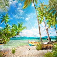  Tranh Dán Tường Cảnh Biển Đẹp Tiến Phát Cbtp140