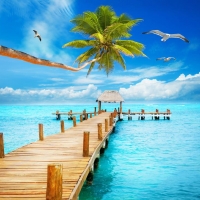 Tranh Dán Tường Cảnh Biển Đẹp Tiến Phát Cbtp135 Tranh Dán Tường Cảnh Biển Đẹp Tiến Phát Cbtp135