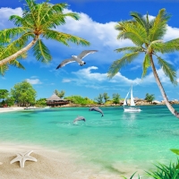  Tranh Dán Tường Cảnh Biển Đẹp Tiến Phát Cbtp07