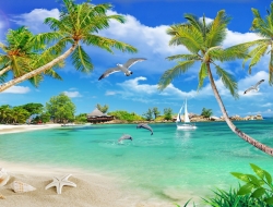  Tranh Dán Tường Cảnh Biển Đẹp Tiến Phát Cbtp07