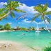  Tranh Dán Tường Cảnh Biển Đẹp Tiến Phát Cbtp07