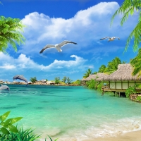 Tranh Dán Tường Cảnh Biển Đẹp Tiến Phát Cbtp08 Tranh Dán Tường Cảnh Biển Đẹp Tiến Phát Cbtp08