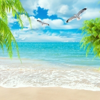  Tranh Dán Tường Cảnh Biển Đẹp Tiến Phát Cbtp09