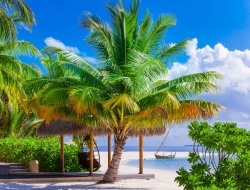  Tranh Dán Tường Cảnh Biển Đẹp Tiến Phát Cbtp12