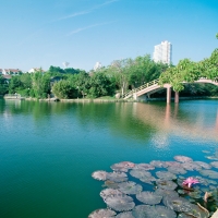 Tranh Dán Tường Cảnh Biển Đẹp Tiến Phát Cbtp13 Tranh Dán Tường Cảnh Biển Đẹp Tiến Phát Cbtp13