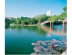 Tranh Dán Tường Cảnh Biển Đẹp Tiến Phát Cbtp13 Tranh Dán Tường Cảnh Biển Đẹp Tiến Phát Cbtp13