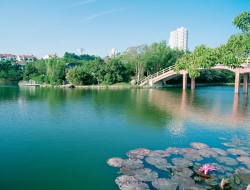  Tranh Dán Tường Cảnh Biển Đẹp Tiến Phát Cbtp13