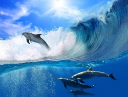  Tranh Dán Tường Cảnh Biển Đẹp Tiến Phát Cbtp15