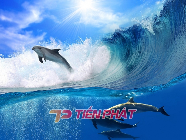 Tranh Dán Tường Cảnh Biển Đẹp Tiến Phát Cbtp15 Tranh Dán Tường Cảnh Biển Đẹp Tiến Phát Cbtp15