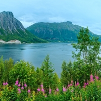 Tranh Dán Tường Cảnh Biển Đẹp Tiến Phát Cbtp17 Tranh Dán Tường Cảnh Biển Đẹp Tiến Phát Cbtp17