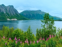  Tranh Dán Tường Cảnh Biển Đẹp Tiến Phát Cbtp17