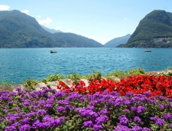  Tranh Dán Tường Cảnh Biển Đẹp Tiến Phát Cbtp18