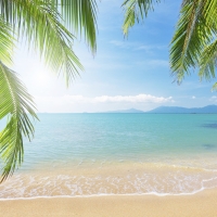 Tranh Dán Tường Cảnh Biển Đẹp Tiến Phát Cbtp21 Tranh Dán Tường Cảnh Biển Đẹp Tiến Phát Cbtp21